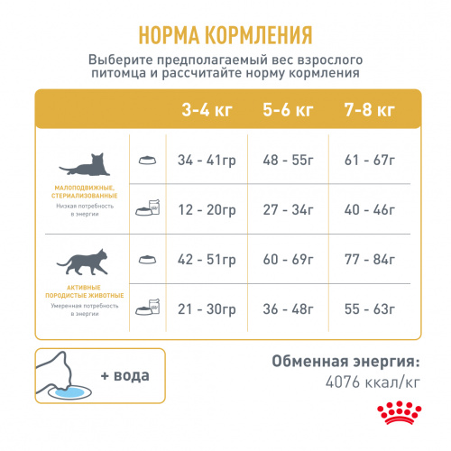 Корм Royal Canin Bengal для бенгальских кошек старше 1 года, 2 кг