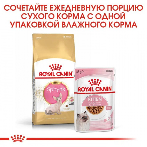 Корм Royal Canin Sphynx KITTEN для КОТЯТ породы Сфинкс 4-12 мес., 2 кг