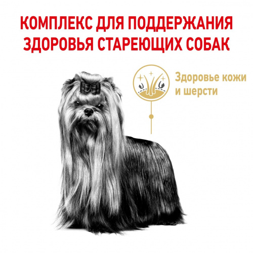 Корм Royal Canin Yorkshire Terrier Adult для йоркширского терьера старше 8 лет, 500 г