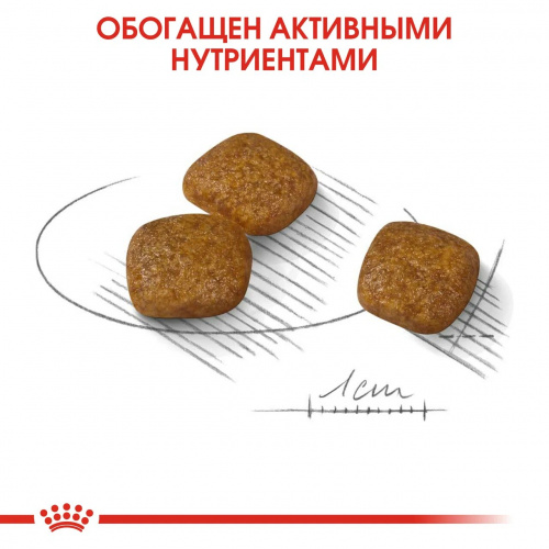 Корм Royal Canin Mini Urinary Care для собак малых пород (до 10 кг), профилактика МКБ, 1 кг