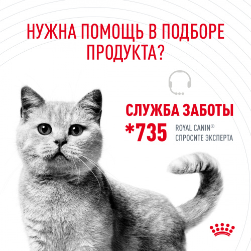 Корм Royal Canin Urinary Care для профилактики МКБ, 2 кг