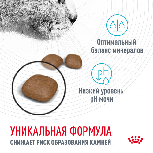 Корм Royal Canin Urinary Care для профилактики МКБ, 2 кг