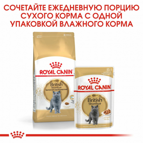 Корм Royal Canin British Shorthair (в соусе) для британских пород старше 1 года, 85 г