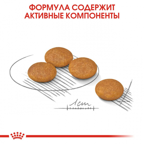 Корм Royal Canin Mini Dermacomfort для собак малых пород (до 10 кг) с чувствительной кожей, 1 кг