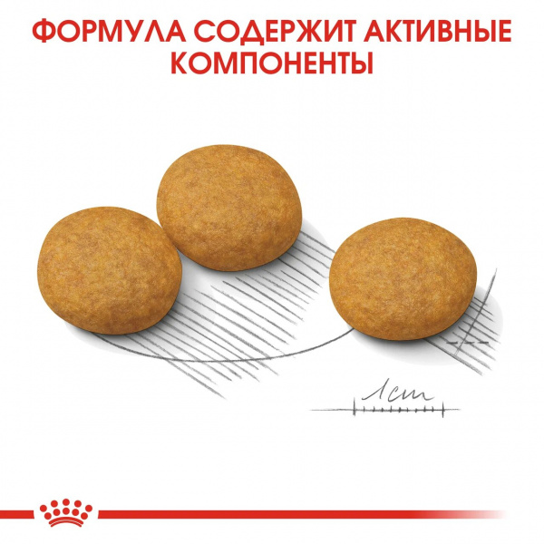 Корм Royal Canin Medium Dermacomfort для собак средних пород (11-25 кг) с раздраженной и зудящей кожей, 10 кг