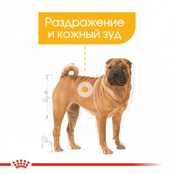 Корм Royal Canin Medium Dermacomfort для собак средних пород (11-25 кг) с раздраженной и зудящей кожей, 10 кг