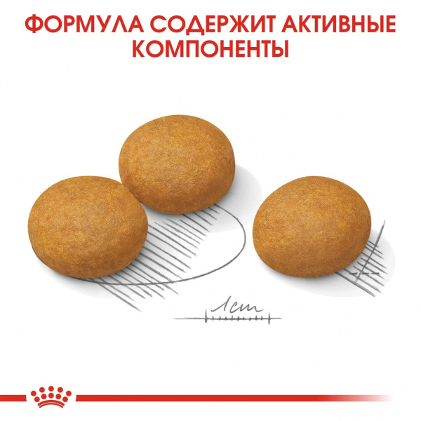 Корм Royal Canin Maxi Dermacomfort для собак крупных пород (26-44 кг) с раздраженной и зудящей кожей, 10 кг