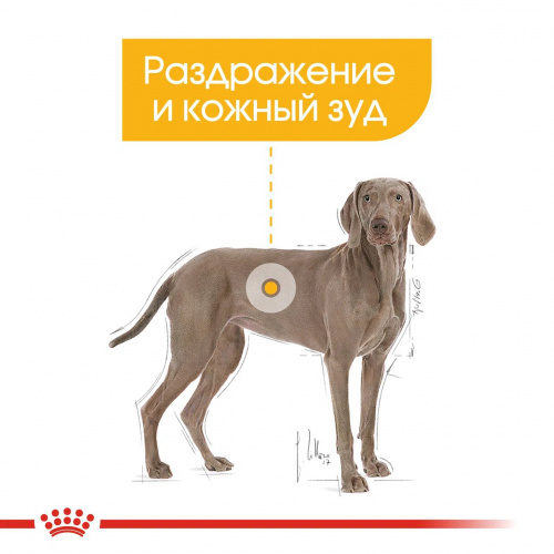 Корм Royal Canin Maxi Dermacomfort для собак крупных пород (26-44 кг) с раздраженной и зудящей кожей, 10 кг