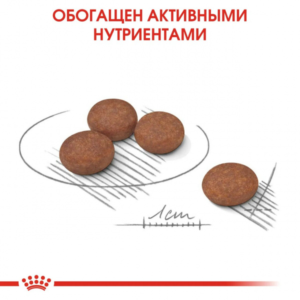 Корм Royal Canin Mini Digestive Care для собак малых пород (до 10 кг) при расстройствах пищеварения, 1 кг