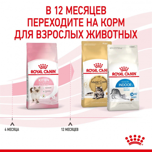 Корм Royal Canin Kitten для котят от 4 до 12 мес., 10 кг