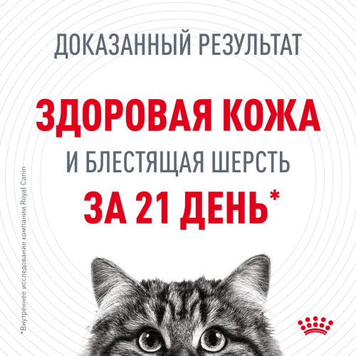 Корм Royal Canin Hair & Skin Care для шерсти и кожи, 10 кг