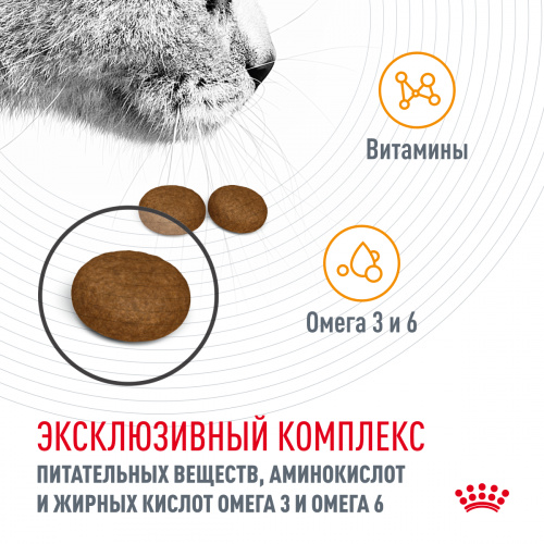 Корм Royal Canin Hair & Skin Care для шерсти и кожи, 10 кг