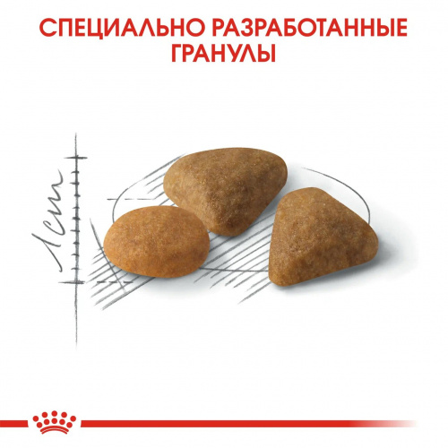 Корм Royal Canin SAVOUR Exigent для требовательных к ВКУСУ корма, 10 кг