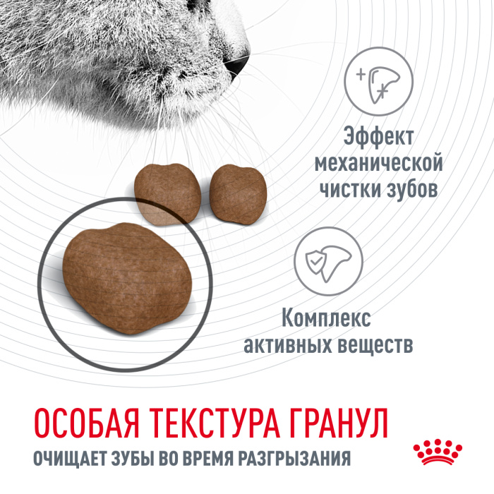 Корм Royal Canin Dental Care для ухода за полостью рта, 1.5 кг