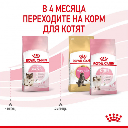 Корм Royal Canin Mother and Babycat для котят от 1 до 4 мес. и беременных/кормящих кошек, 4 кг