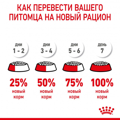 Корм Royal Canin Mother and Babycat для котят от 1 до 4 мес. и беременных/кормящих кошек, 4 кг