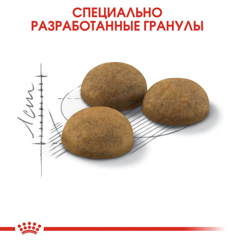 Корм Royal Canin Indoor Long Hair для длинношерстных кошек, 400 г