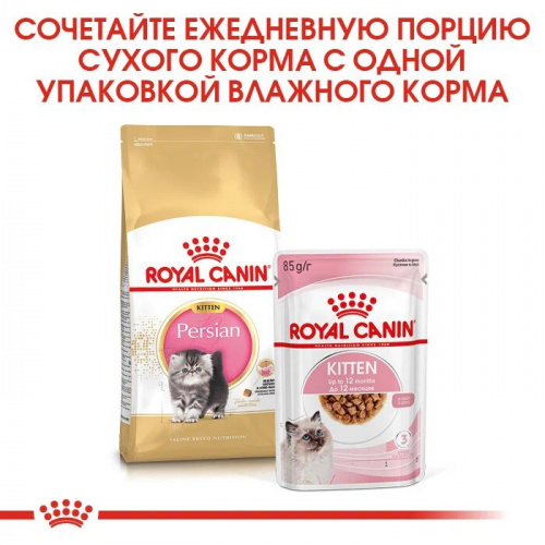 Корм Royal Canin Persian KITTEN для КОТЯТ персидских пород до 12 мес., 10 кг