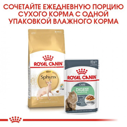 Корм Royal Canin Sphynx Adult для сфинксов старше 1 года, 10 кг