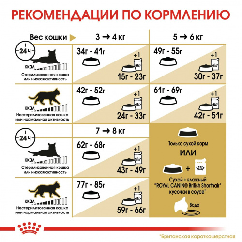 Корм Royal Canin British Shorthair для британских пород старше 1 года, 10 кг