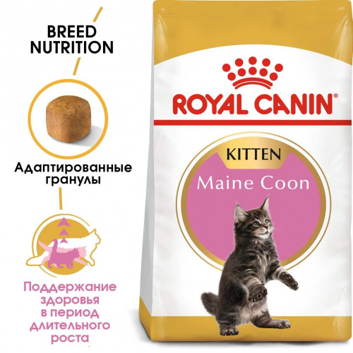 Корм Royal Canin Maine Coon KITTEN для КОТЯТ породы мейн кун 3-15 мес., 10 кг