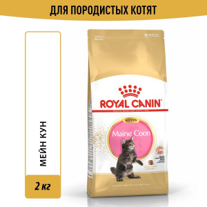 Корм Royal Canin Maine Coon KITTEN для КОТЯТ породы мейн кун 3-15 мес., 10 кг (Копировать)