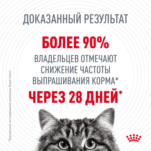 Корм Royal Canin Appetite Control для кошек, контроль выпрашивания корма, 10 кг