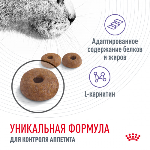 Корм Royal Canin Appetite Control для кошек, контроль выпрашивания корма, 10 кг