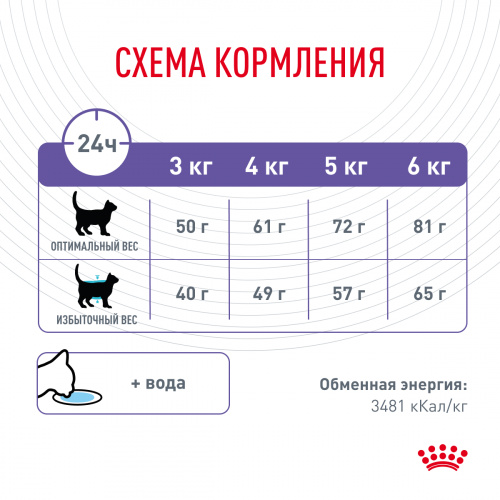 Корм Royal Canin Appetite Control для кошек, контроль выпрашивания корма, 10 кг