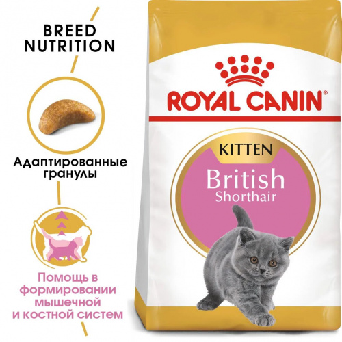 Корм Royal Canin British Shorthair KITTEN для КОТЯТ британских пород 4-12 мес., 10 кг