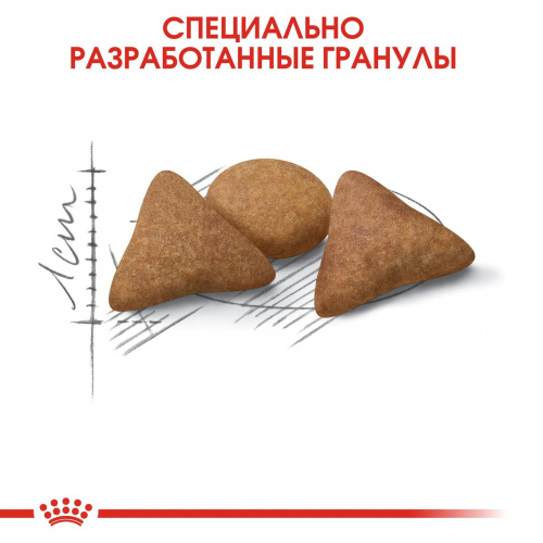 Корм Royal Canin Indoor Appetite Control для домашних кошек, контроль выпрашивания корма, 2 кг