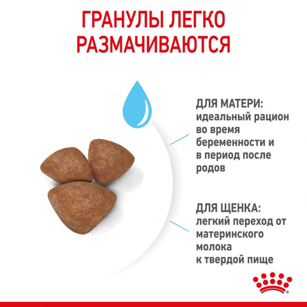 Корм Royal Canin Mini Starter для щенков малых пород до 2 мес., беременных и кормящих сук, 1 кг