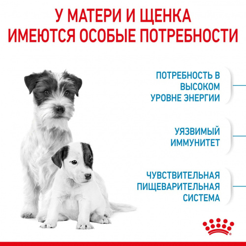 Корм Royal Canin Mini Starter для щенков малых пород до 2 мес., беременных и кормящих сук, 1 кг