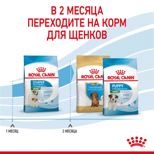 Корм Royal Canin Mini Starter для щенков малых пород до 2 мес., беременных и кормящих сук, 1 кг