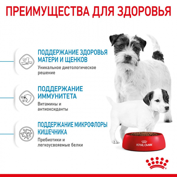 Корм Royal Canin Mini Starter для щенков малых пород до 2 мес., беременных и кормящих сук, 1 кг