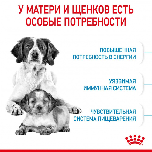 Корм Royal Canin Medium Starter для щенков средних пород до 2 мес., беременных и кормящих сук, 12 кг