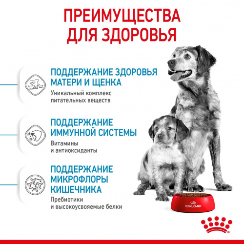 Корм Royal Canin Medium Starter для щенков средних пород до 2 мес., беременных и кормящих сук, 12 кг