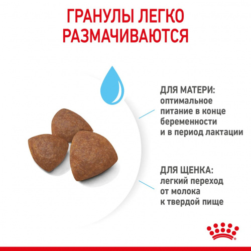 Корм Royal Canin Medium Starter для щенков средних пород до 2 мес., беременных и кормящих сук, 12 кг