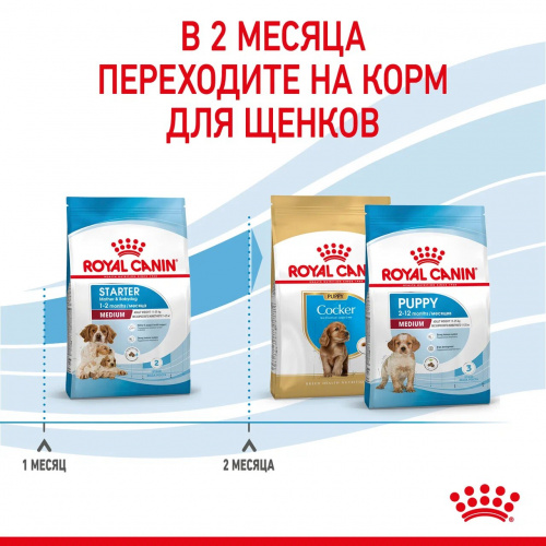 Корм Royal Canin Medium Starter для щенков средних пород до 2 мес., беременных и кормящих сук, 12 кг