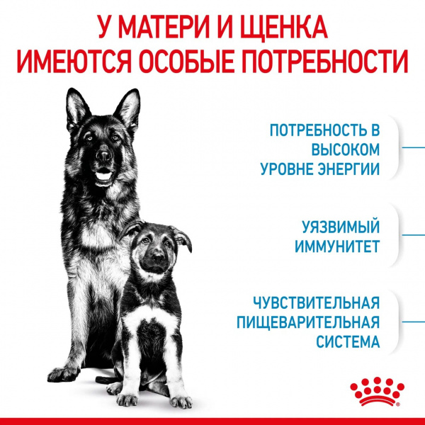 Корм Royal Canin Maxi Starter для щенков крупных пород до 2 мес., беременных и кормящих сук, 15 кг