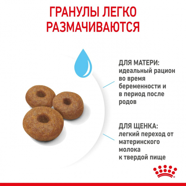 Корм Royal Canin Maxi Starter для щенков крупных пород до 2 мес., беременных и кормящих сук, 15 кг