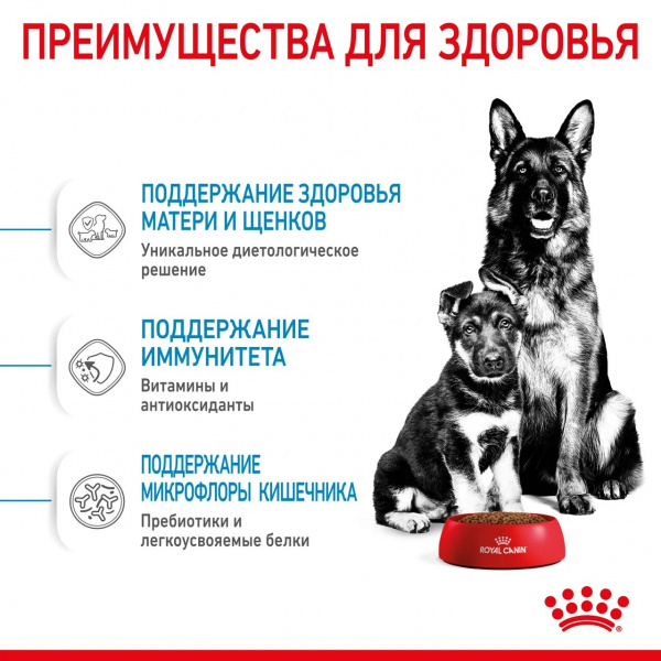 Корм Royal Canin Maxi Starter для щенков крупных пород до 2 мес., беременных и кормящих сук, 15 кг