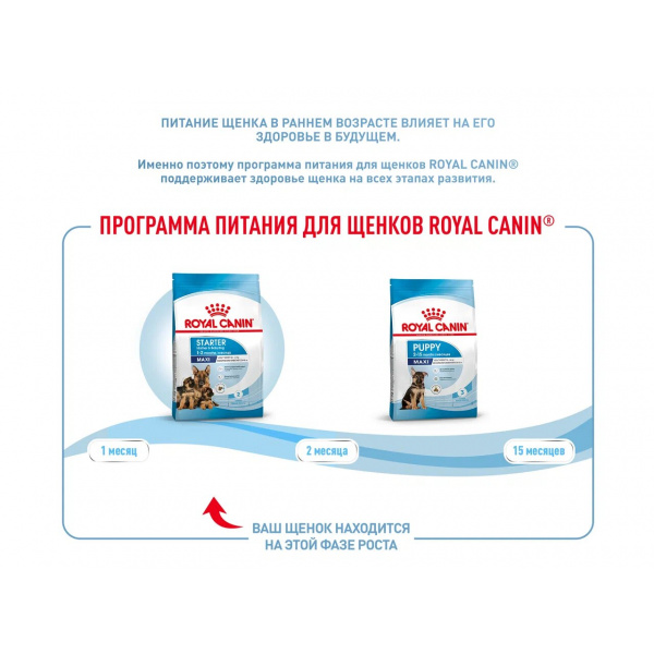 Корм Royal Canin Maxi Starter для щенков крупных пород до 2 мес., беременных и кормящих сук, 15 кг