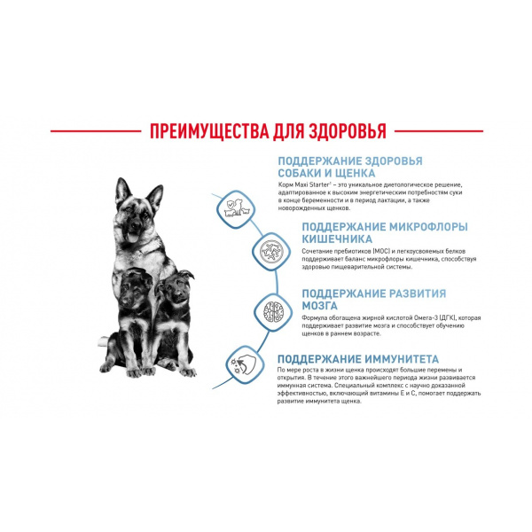 Корм Royal Canin Maxi Starter для щенков крупных пород до 2 мес., беременных и кормящих сук, 15 кг