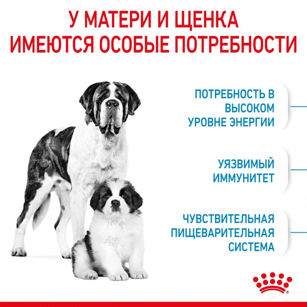 Корм Royal Canin Giant Starter для щенков гигантских пород до 2 мес., беременных и кормящих сук, 15 кг