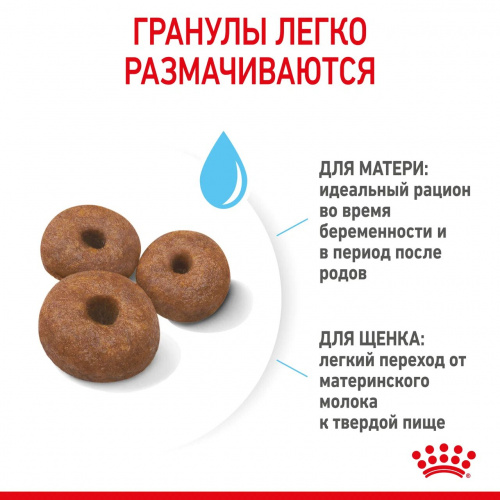 Корм Royal Canin Giant Starter для щенков гигантских пород до 2 мес., беременных и кормящих сук, 15 кг