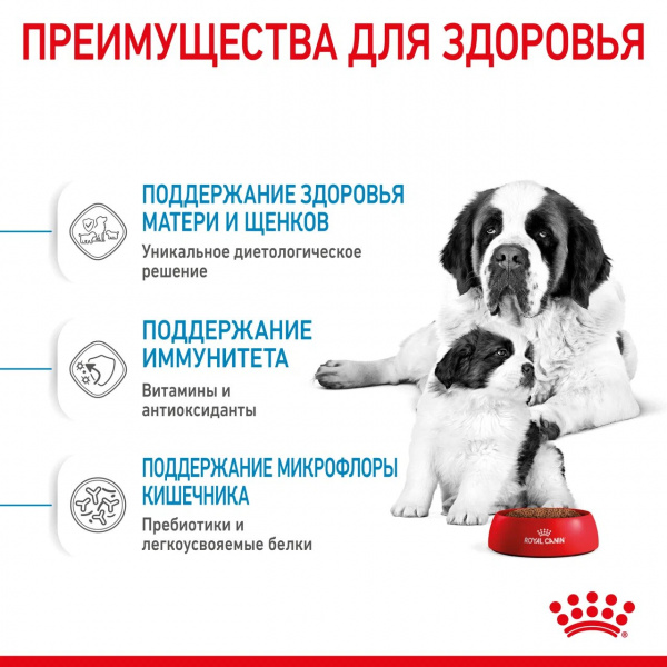 Корм Royal Canin Giant Starter для щенков гигантских пород до 2 мес., беременных и кормящих сук, 15 кг