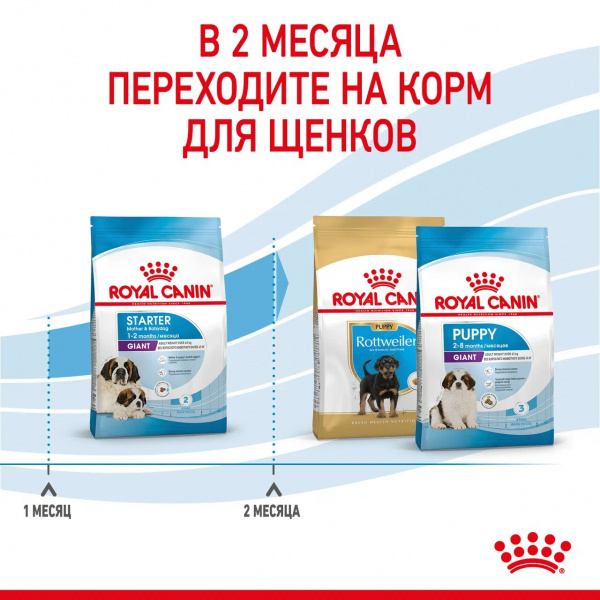 Корм Royal Canin Giant Starter для щенков гигантских пород до 2 мес., беременных и кормящих сук, 15 кг