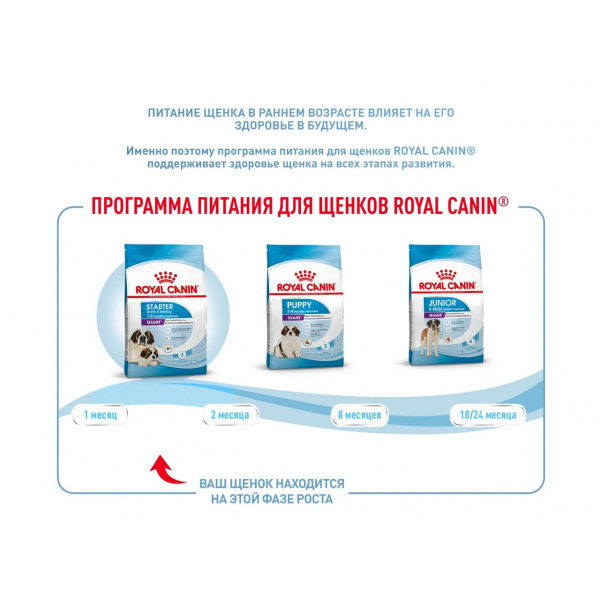 Корм Royal Canin Giant Starter для щенков гигантских пород до 2 мес., беременных и кормящих сук, 15 кг