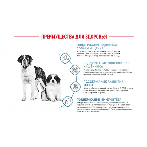 Корм Royal Canin Giant Starter для щенков гигантских пород до 2 мес., беременных и кормящих сук, 15 кг